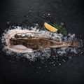 Ganzer Fisch